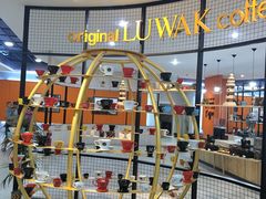 -巴厘岛黄金金兔咖啡工厂