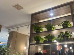 -刘胖子家常菜·蹄花焖藕(中南店)