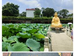 -宝墨园景区