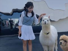 -Blue Concept Cafe&Farm·關於藍