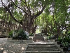 -胡里山炮台