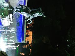 -上海安亭别墅花园酒店