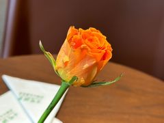 -小西家作(富力爱丁堡店)