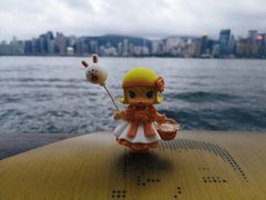 -星光大道