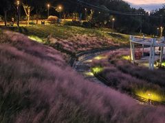 -牛岗山公园