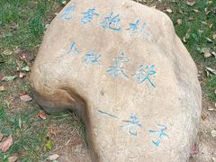 -函谷关历史文化旅游区