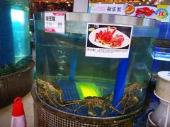 -欢乐海岸美食联盟