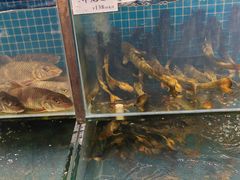 -胖姐渔村(中源大道店)