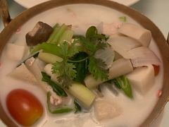 椰奶鸡肉汤-Fern Forest Cafe