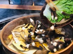 -阿山卓·野生菌火锅·纳西火塘烤肉