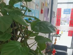 -恒伦口腔(泰享里门诊部)
