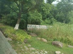 门面-大阳山国家森林公园