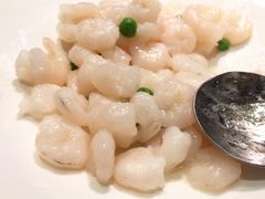 清炒虾仁-好福记饭店(红梅公园店)