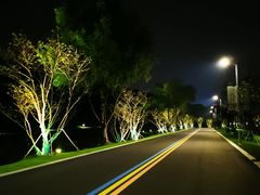 -羊山湖公园