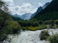 -稻城亚丁景区-冲古草甸