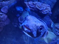 -成都浩海立方海洋公园