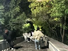 -抱犊寨风景区