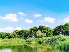 -西湖风景区-江洋畈生态公园