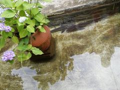 -源泉冷水鱼庄(小鱼洞店)