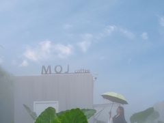 -玉苍山国家森林公园