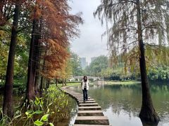 -重庆彩云湖湿地公园