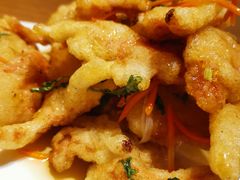 传统锅包肉-金掌勺·锅包肉(广渠门店)