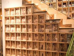 -猫的天空之城概念书店(苏州平江店)