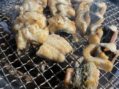 -吉力烤鳗