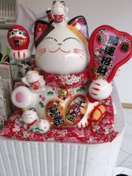 -OAE日式皮肤管理お肌の