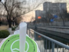 -茶大椰·椰子茶(星悦荟店)