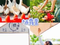 -栖露营camping·天幕烧烤·团建拓展·采摘营地