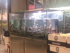 -本炙炭烤·蒲烧活鳗料理店(金沙洲店)