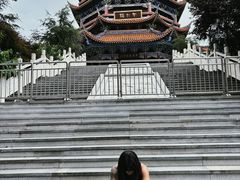 -铁山坪森林公园