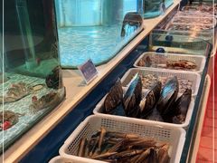 水产区-大渔小鲜火锅店