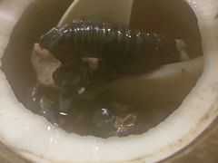 -達揚原味燉品(文明路店)