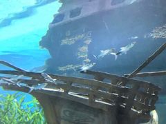 -绍兴梦享海洋公园