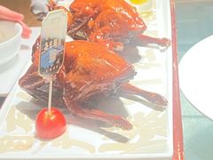 -大鸽饭(北京路店)