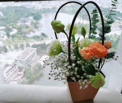 -大美臻喜母婴(重庆创始店)