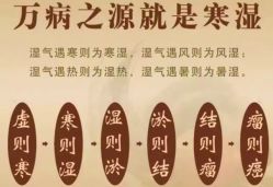 -姜美堂·蒸姜除湿の纤体美颜馆