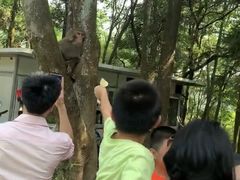 -广州市石门国家森林公园