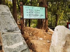 -泰山风景名胜区