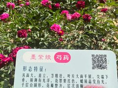 -仁和公园(顺义区)