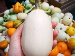 -永记生态园