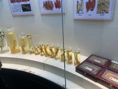 -广东中医药博物馆