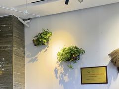 -蘇河湾·新鲁菜·泰山宴(宝龙店)