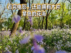 -枫花园汽车电影院(朝阳公园店)