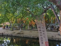 -春风习习