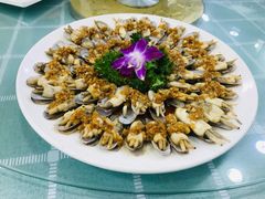 芙蓉美人蛏-四海蒸鲜蒸汽海鲜自助(北戴河店)