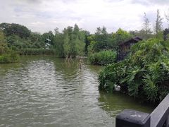 -海珠湖公园