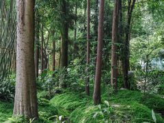 -成都市活水公园